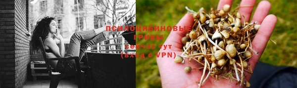 гашишное масло Протвино