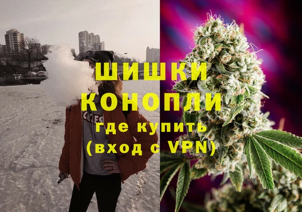 индика Заводоуковск