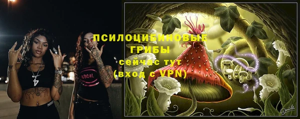 бошки Приозерск