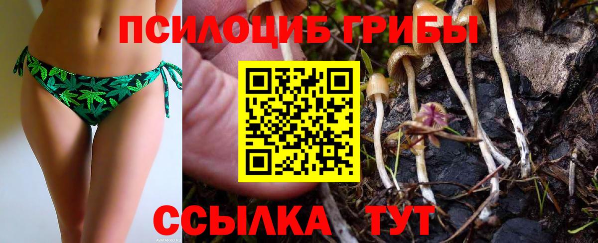 Галлюциногенные грибы Psilocybine cubensis  Сердобск 