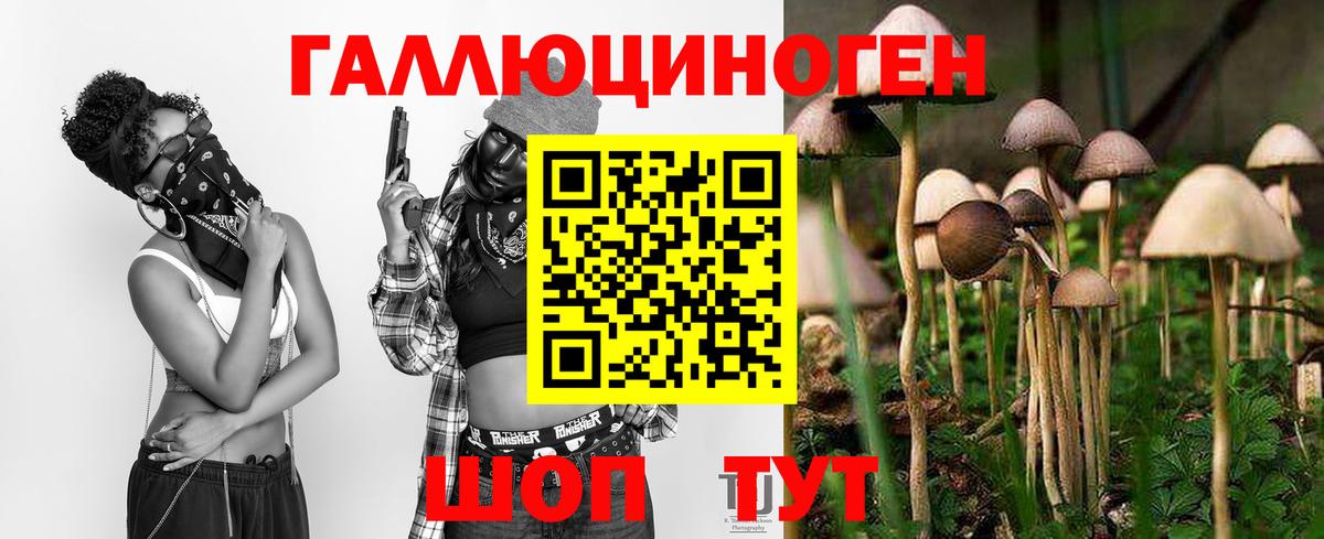 Сердобск  закладки  Вход с VPN  Галлюциногенные грибы ЛСД 
