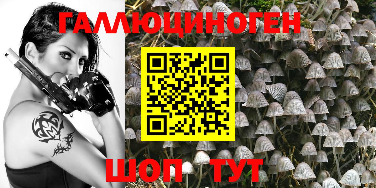 Галлюциногенные грибы мухоморы Сердобск